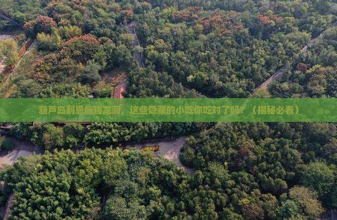 葫芦岛到恩施腾龙洞旅游小吃