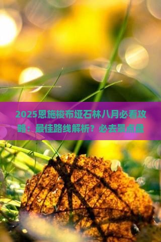 八月去恩施梭布垭石林必去地