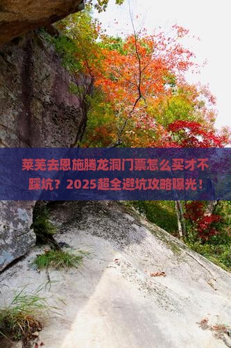 莱芜去恩施腾龙洞门票