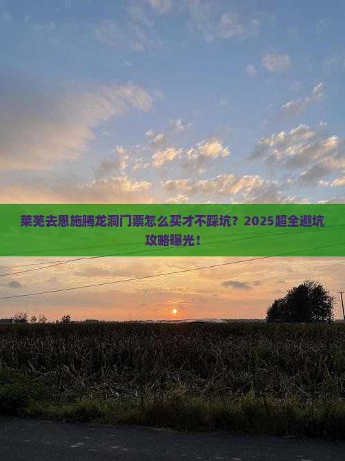 莱芜去恩施腾龙洞门票