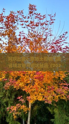 阿坝到恩施土司城门票