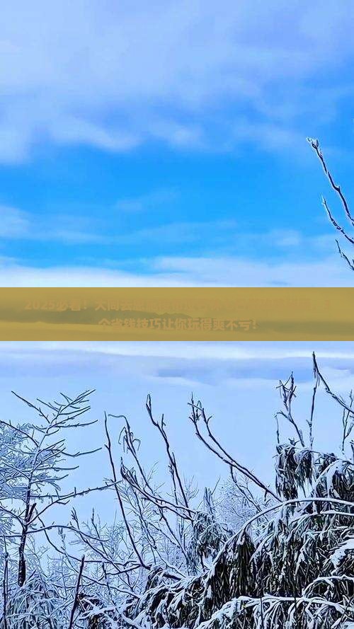 大同去恩施梭布垭石林七日游