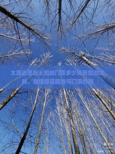 太原去恩施土司城门票
