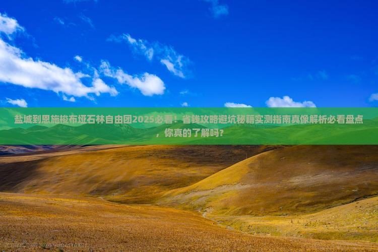 盐城到恩施梭布垭石林自由团