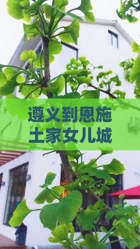 遵义到恩施土家女儿城必去地