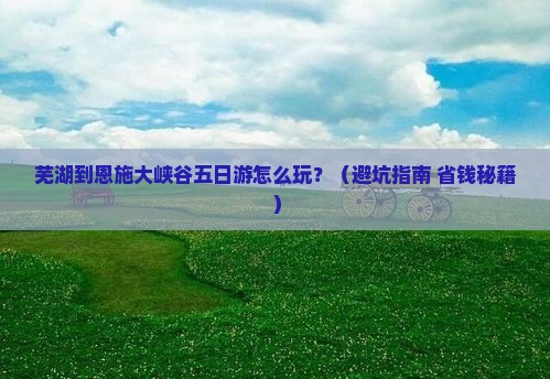 芜湖到恩施大峡谷五日游