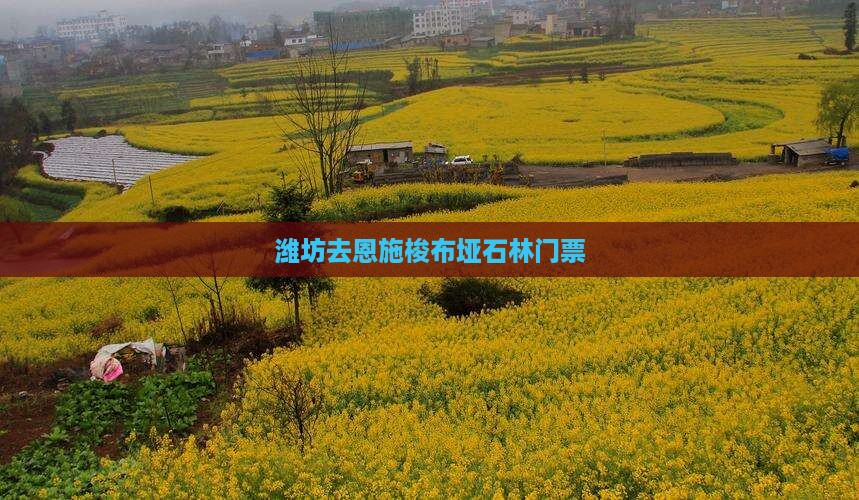 潍坊去恩施梭布垭石林门票