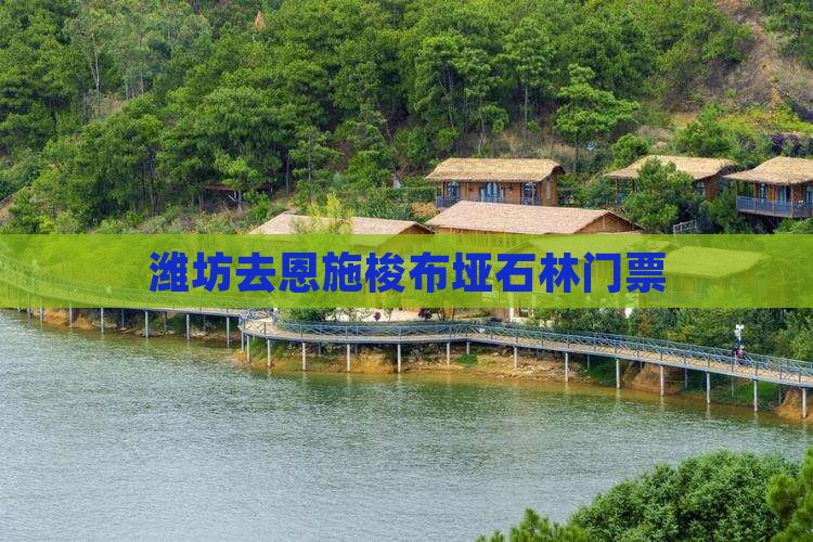 潍坊去恩施梭布垭石林门票