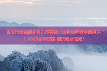 泰安去恩施梭布垭石林旅游