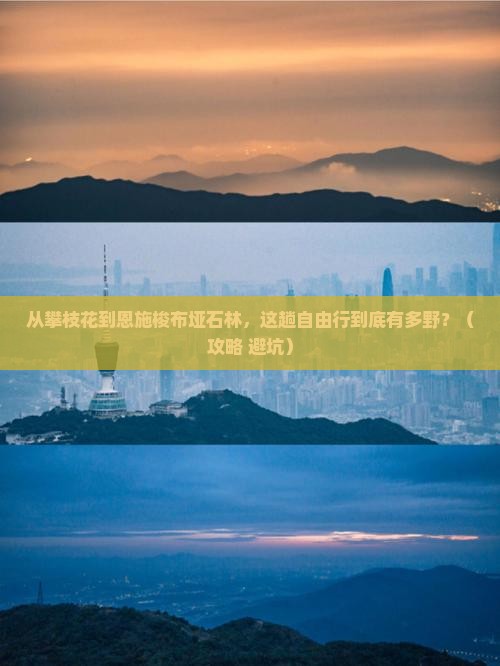 攀枝花到恩施梭布垭石林自由行