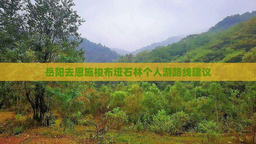岳阳去恩施梭布垭石林个人游