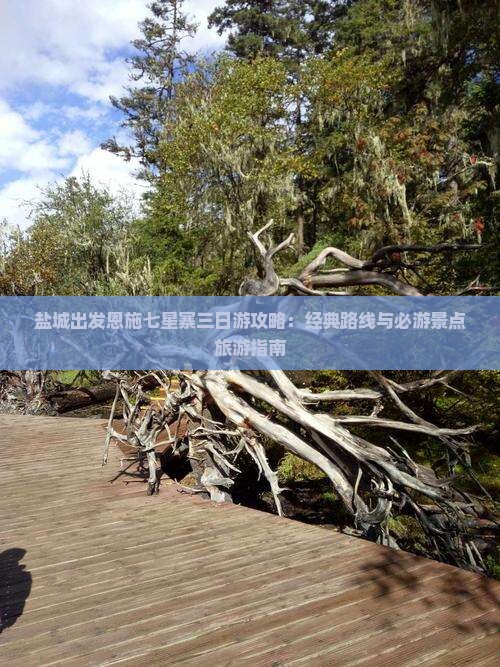 盐城出发恩施七星寨三日游攻略：经典路线与必游景点旅游指南