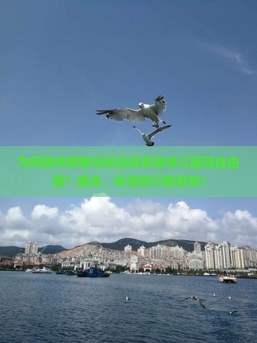 为何德州游客纷纷选择恩施清江画廊自由团？痛点，探寻旅行新趋势！