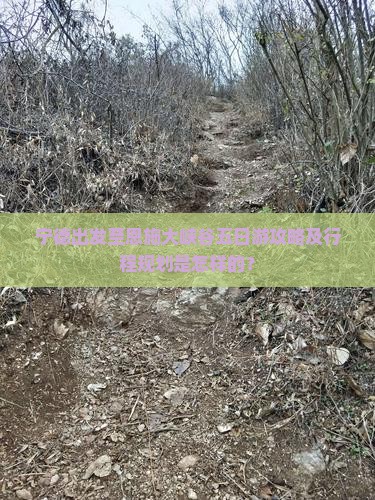 宁德出发至恩施大峡谷五日游攻略及行程规划是怎样的？