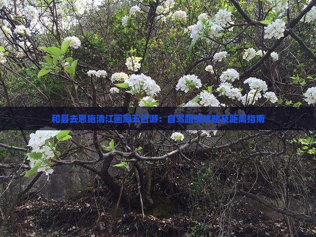 和县去恩施清江画廊五日游：自驾路线攻略及距离指南