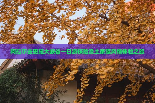 阿拉尔去恩施大峡谷一日游探险及土家族风情体验之旅