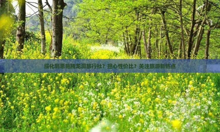 绥化到恩施腾龙洞旅行社？担心性价比？关注旅游新热点