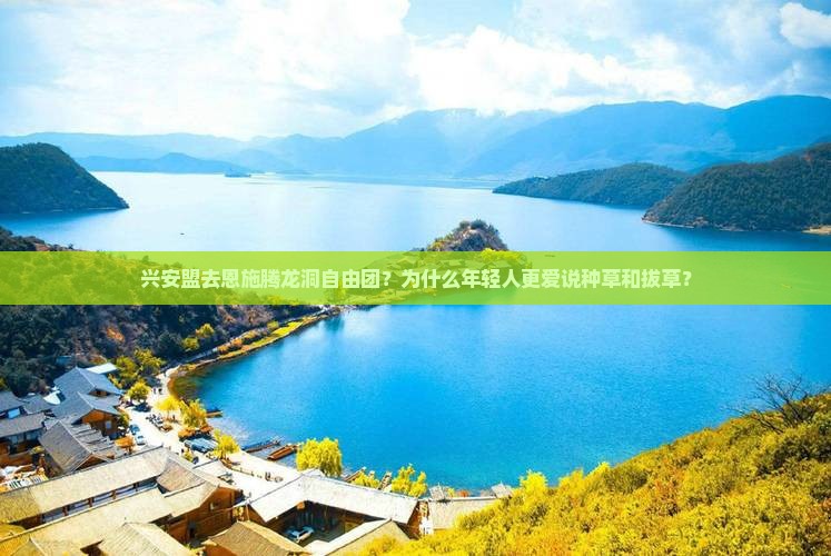 兴安盟去恩施腾龙洞自由团？为什么年轻人更爱说种草和拔草？