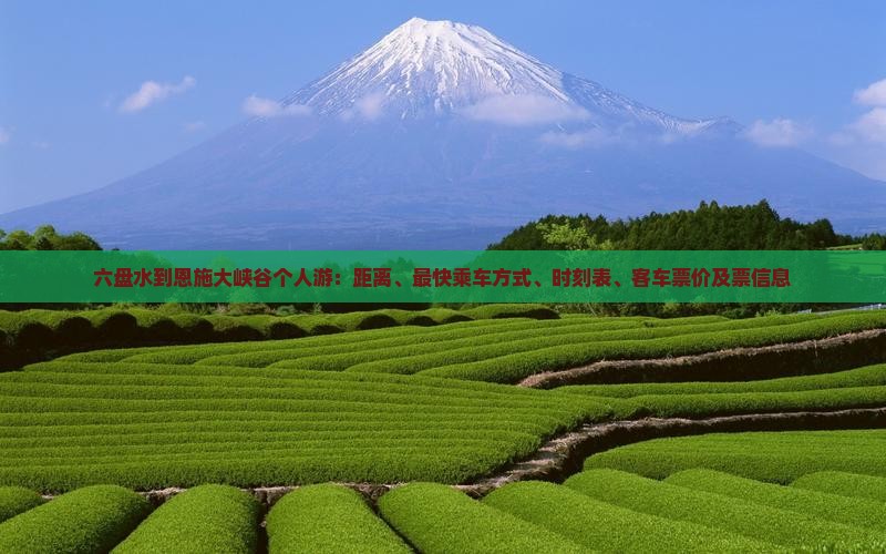 六盘水到恩施大峡谷个人游：距离、最快乘车方式、时刻表、客车票价及票信息