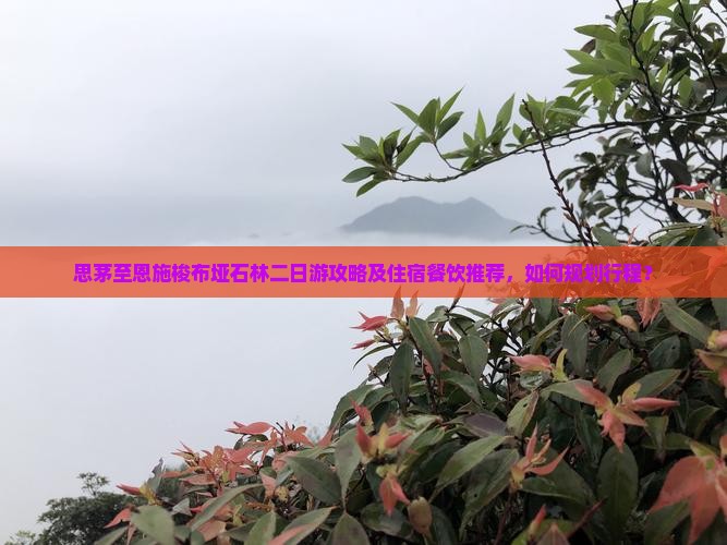 思茅至恩施梭布垭石林二日游攻略及住宿餐饮推荐，如何规划行程？