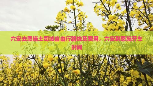 六安去恩施土司城自由行路线及费用，六安到恩施开车时间