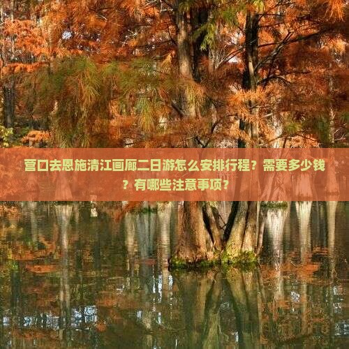营口去恩施清江画廊二日游怎么安排行程？需要多少钱？有哪些注意事项？