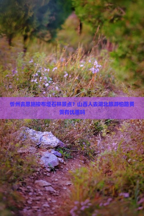 忻州去恩施梭布垭石林景点？山西人去湖北旅游怕路费贵有优惠吗