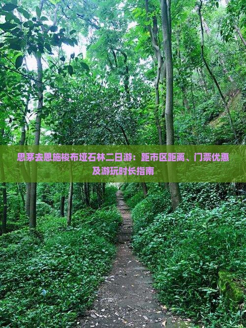 思茅去恩施梭布垭石林二日游：距市区距离、门票优惠及游玩时长指南