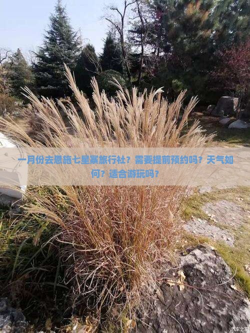 一月份去恩施七星寨旅行社？需要提前预约吗？天气如何？适合游玩吗？