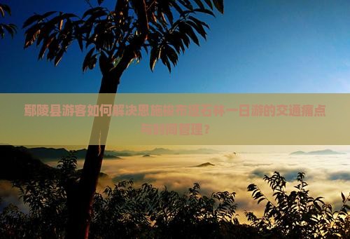 鄢陵县游客如何解决恩施梭布垭石林一日游的交通痛点与时间管理？