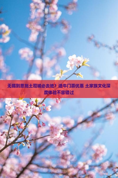 无锡到恩施土司城必去地？途牛门票优惠+土家族文化深度体验不容错过