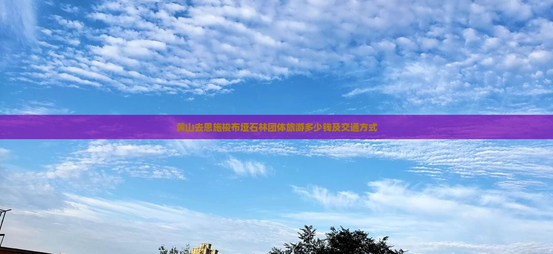 黄山去恩施梭布垭石林团体旅游多少钱及交通方式