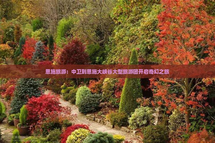 恩施旅游：中卫到恩施大峡谷大型旅游团开启奇幻之旅