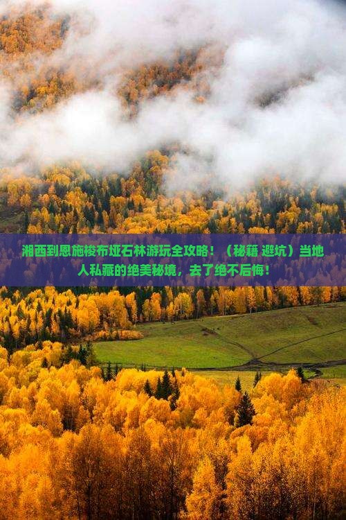 湘西到恩施梭布垭石林必去地
