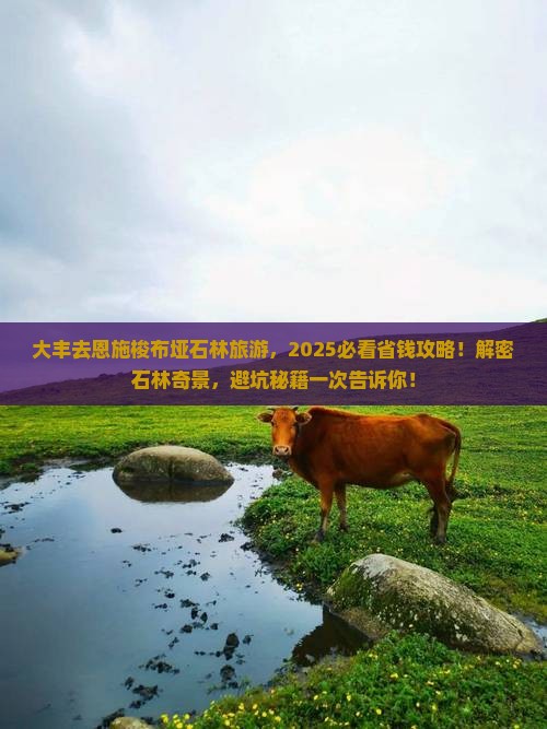 大丰去恩施梭布垭石林旅游