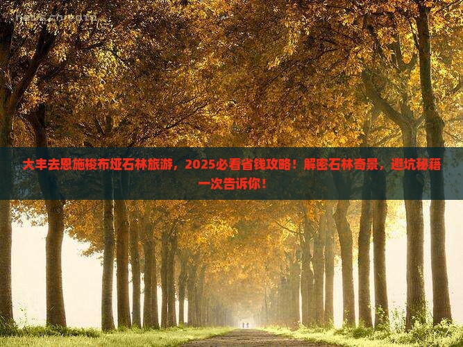 大丰去恩施梭布垭石林旅游