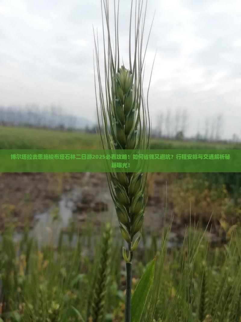博尔塔拉去恩施梭布垭石林二日游 博尔塔拉去恩施梭布垭石林二日游