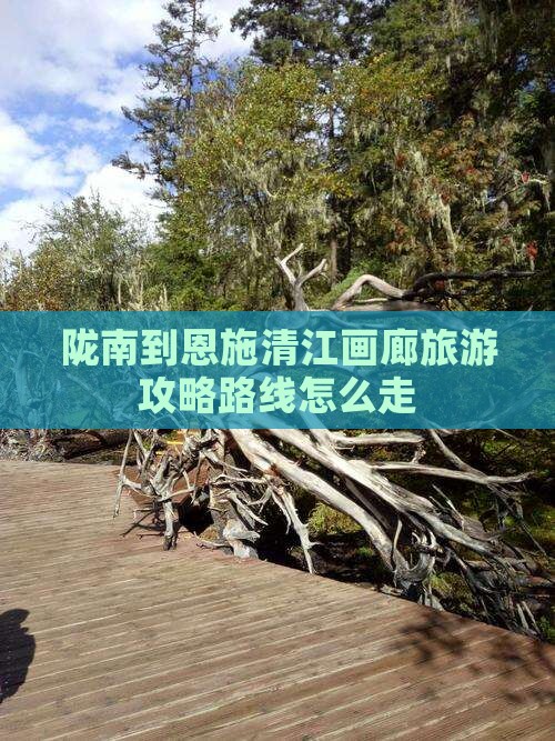 陇南到恩施清江画廊旅游