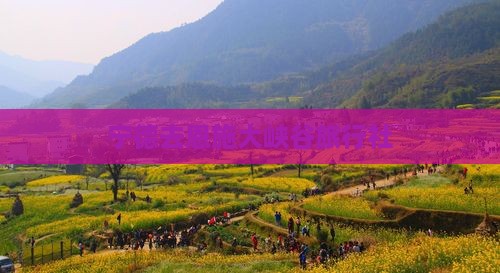宁德去恩施大峡谷旅行社