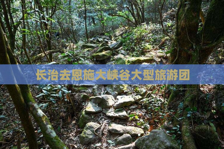 长治去恩施大峡谷大型旅游团