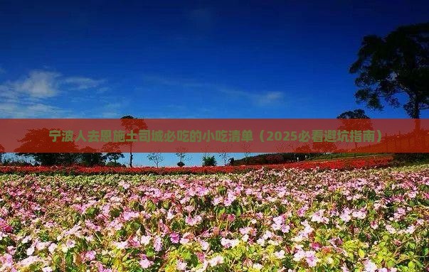 宁波去恩施土司城旅游小吃