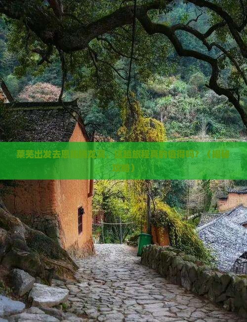 莱芜去恩施腾龙洞旅游