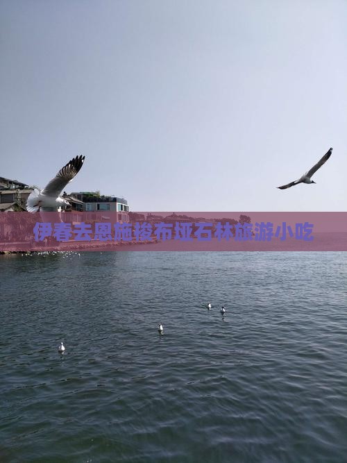 伊春去恩施梭布垭石林旅游小吃
