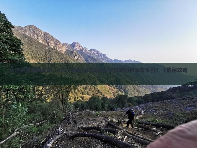 大连到恩施腾龙洞大型旅游团