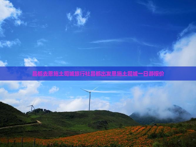昌都去恩施土司城旅行社