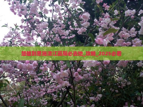 楚雄到恩施清江画廊必去地