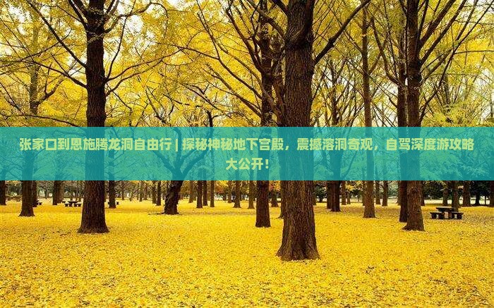 张家口到恩施腾龙洞自由行