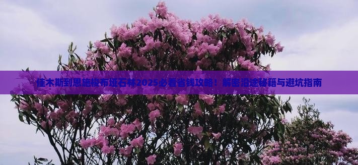 佳木斯到恩施梭布垭石林攻略