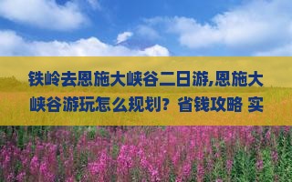 铁岭去恩施大峡谷二日游
