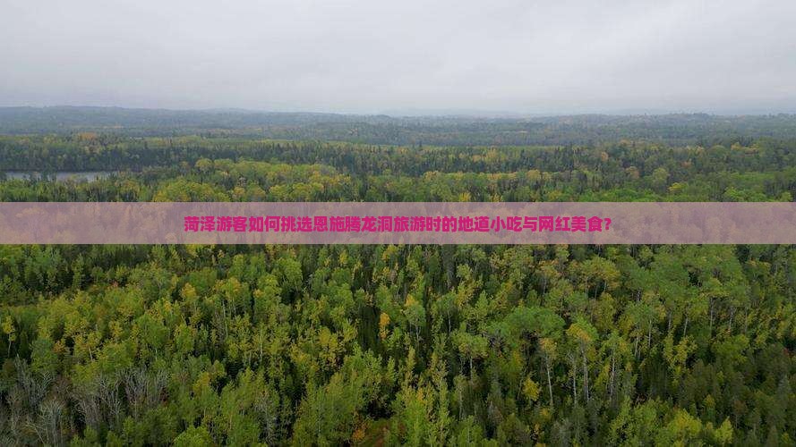 菏泽游客如何挑选恩施腾龙洞旅游时的地道小吃与网红美食？